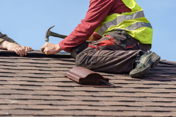 Best Roof Gutter Cleaning  in West Hill, OH